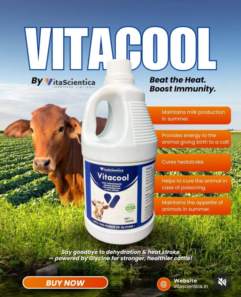 Vitacool